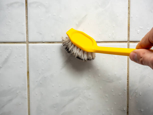 Best Mold Damage Repair  in Hopwood, PA