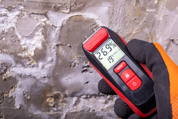 Best Toxic Mold Removal  in Hopwood, PA