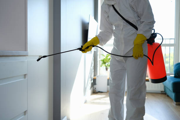 Best Certified Mold Removal  in Hopwood, PA